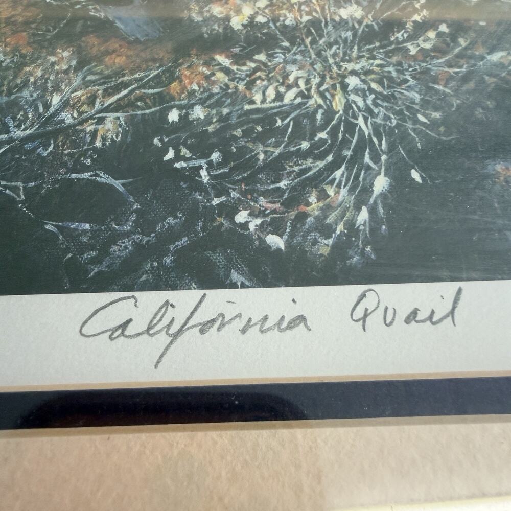 California Quail Painting by Edward Newbold Signed 55 of 1500 12 X 15.5 Frame - Picture 5 of 9